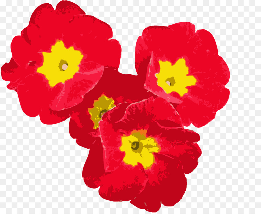 Fiore Rosso, Giallo, Petalo Viola - fiore