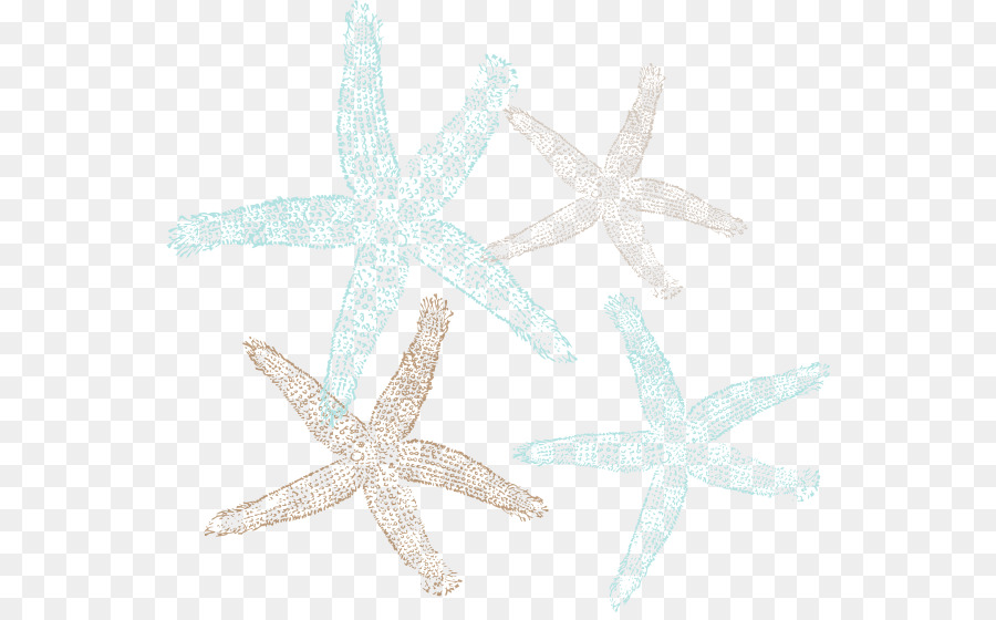 Di invertebrati marini, stelle marine Echinoderma Animale - starfish vettoriale