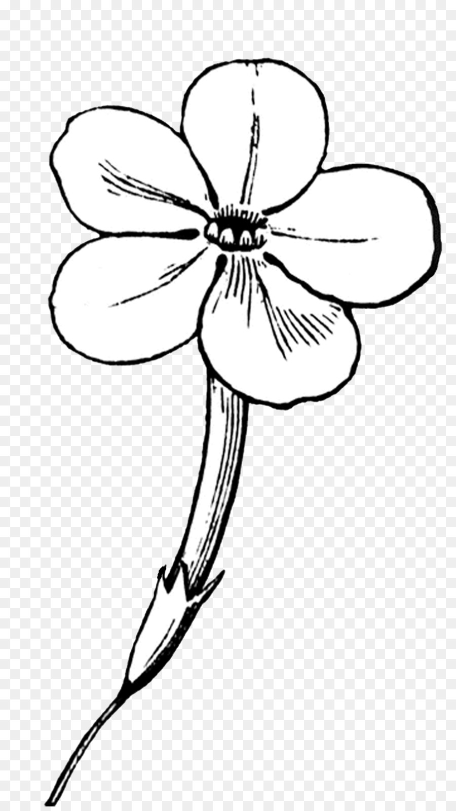 Blumen Linie Kunst Zeichnung Clip art - Blume