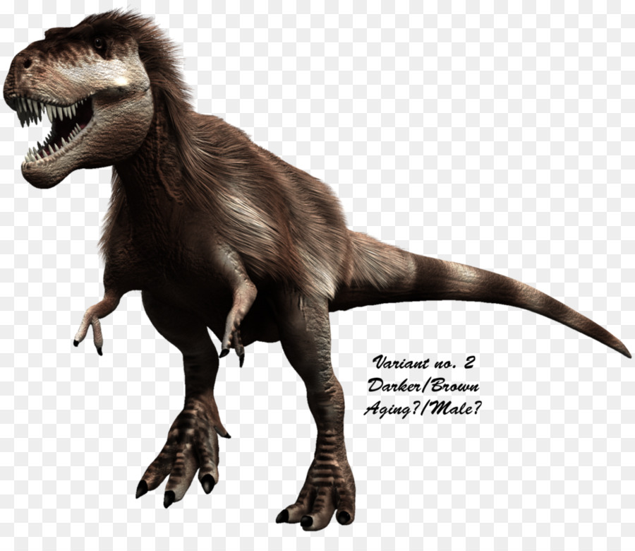 Con Khủng Long Tyrannosaurus Velociraptor Yutyrannus Raptorex - thực ria mép
