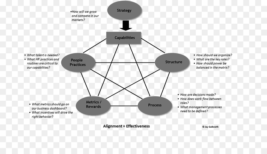 Architettura organizzativa Progettazione Dinamica Organizzazioni: Una Guida pratica per i Dirigenti a Tutti i Livelli della struttura Organizzativa - modello di progettazione