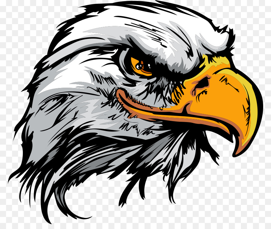 Bald Eagle Logo - cartoon aquila