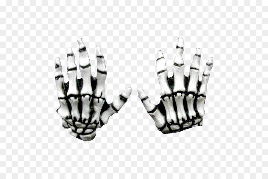 Das menschliche Skelett-Knochen-Hand-Finger - Skelett hand