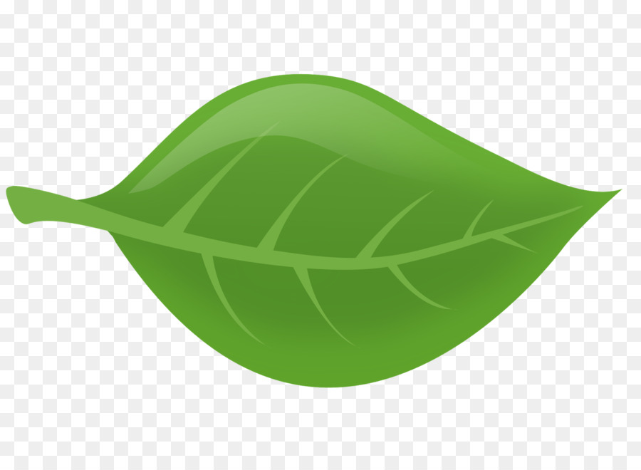 grünes Blatt - grün lotus Blatt