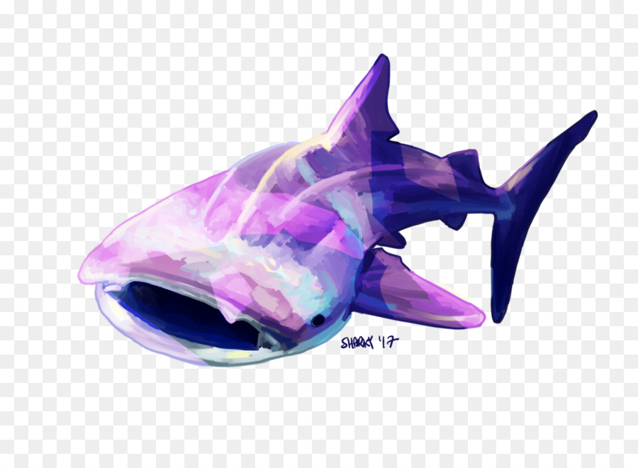 Cá mập động vật Biển có vú Dolphin cá heo sinh vật học Biển - cá voi cá mập