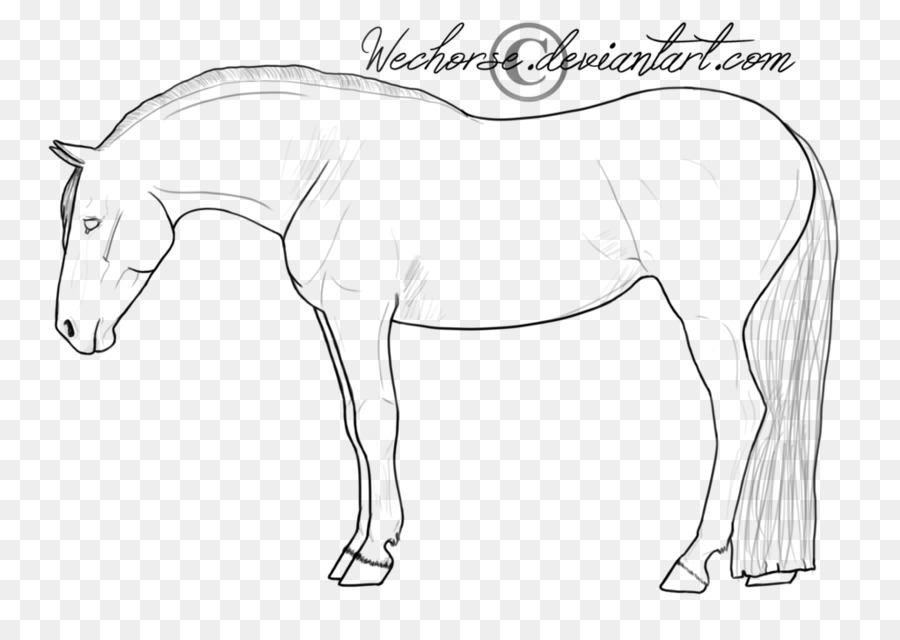 Line art American Quarter Horse American Paint Horse-Pony-Fohlen - Lineart