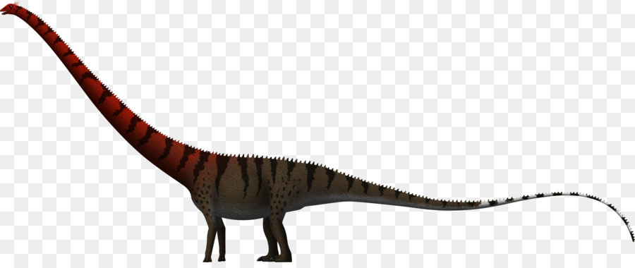 Barosaurus Dinheirosaurus Amphicoelias Dinosaurier Supersaurus Größe - Dinosaurier