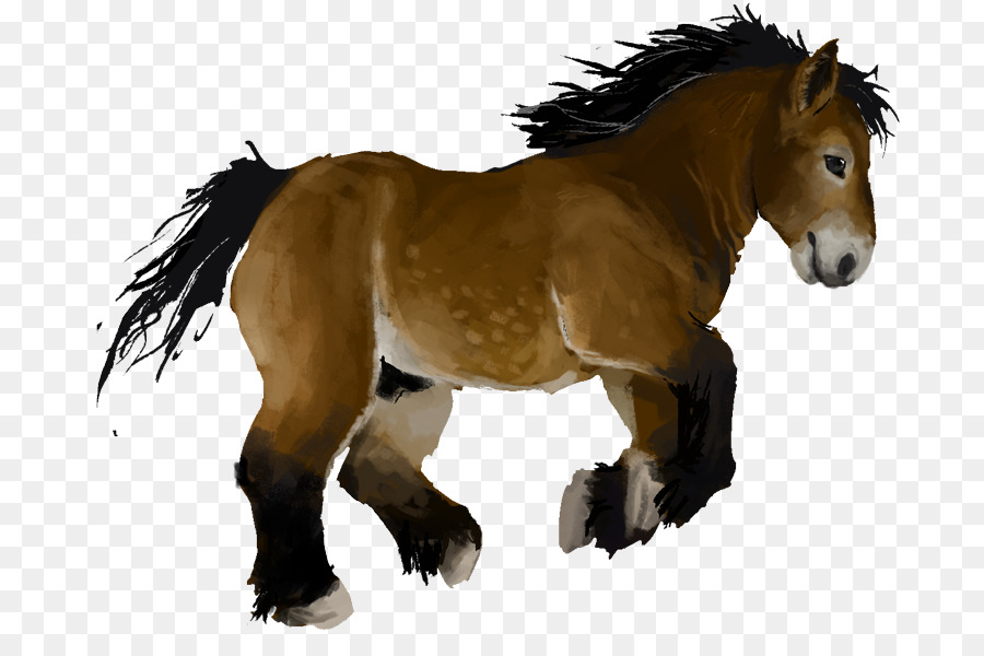 Mustang Mare Con Ngựa Pony Chó - Tay vẽ chim hồng hạc