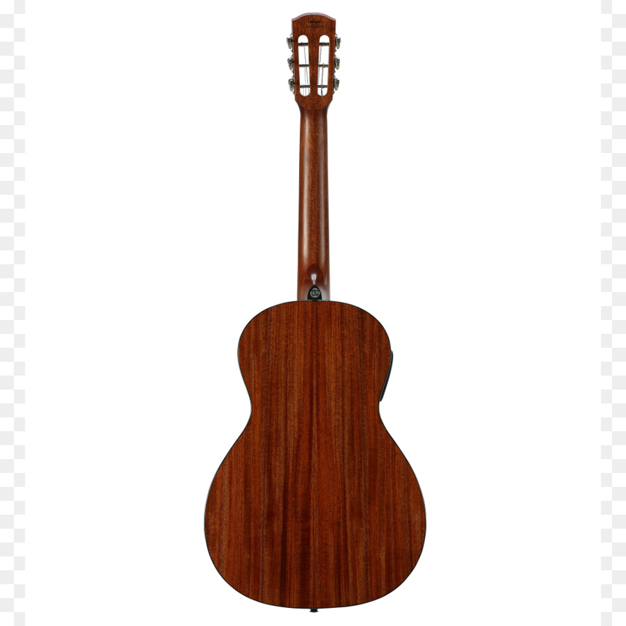 Ukulele, Steel-string acoustic guitar Nut - Salon