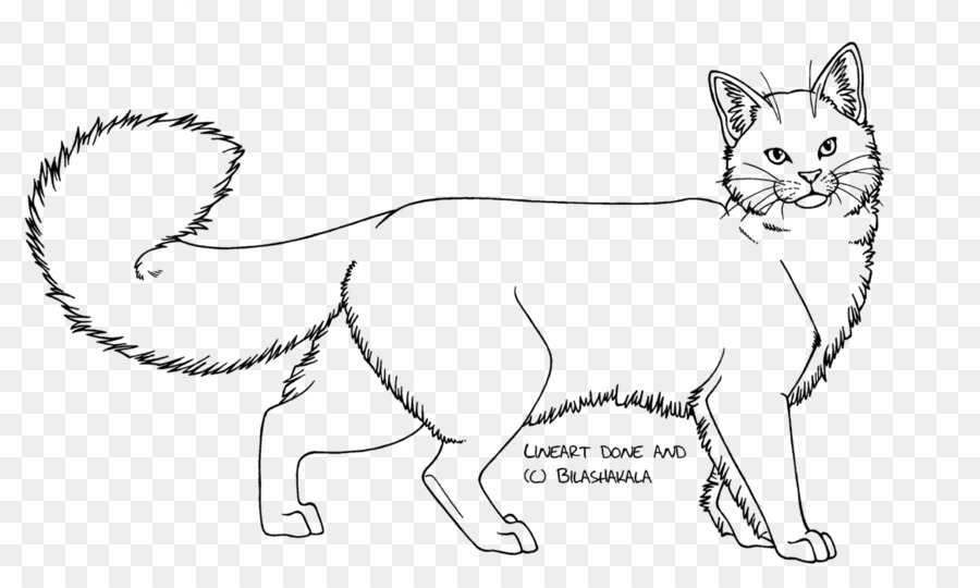 Domestic long-haired Katze Kitten Line-art Zeichnung - Lineart