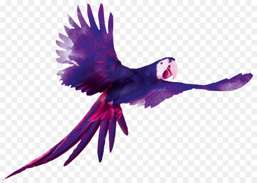 Chim con Vẹt Đỏ và xanh vẹt Đỏ vẹt - rừng amazon