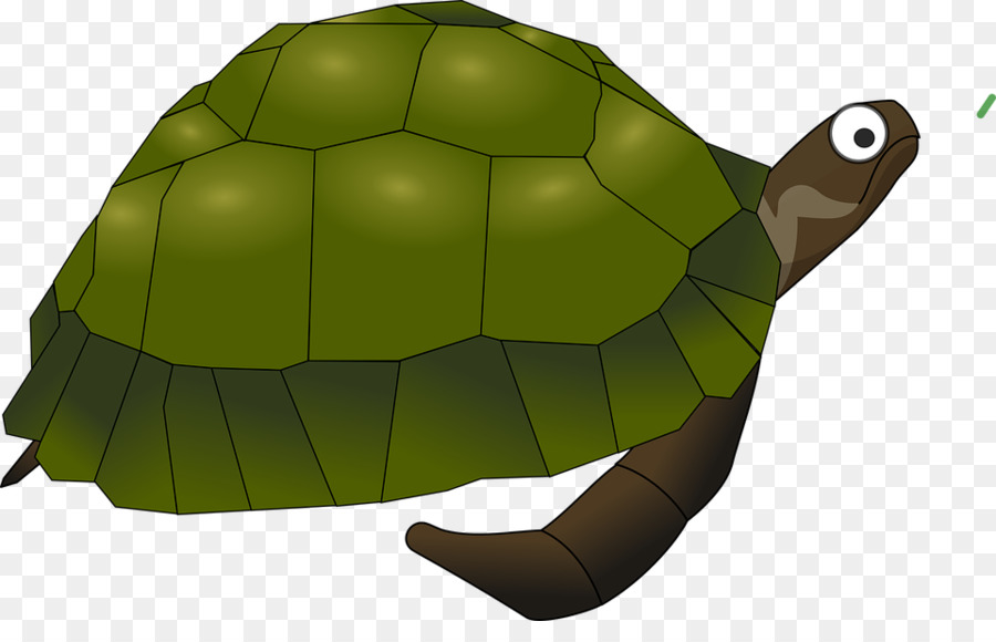 Tartaruga verde Rettile Clip art - tartaruga cartoon