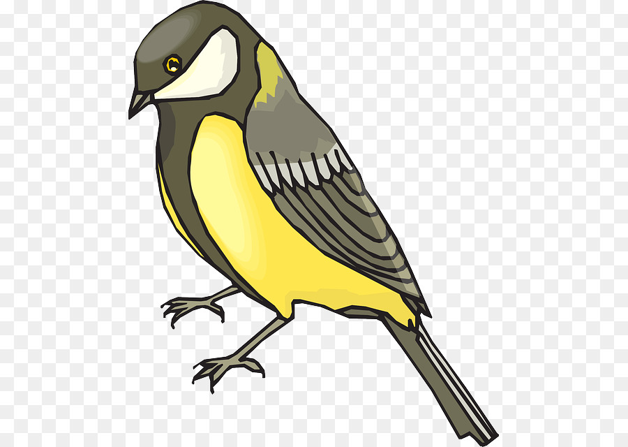Iowa Der American Goldfinch Stieglitz European goldfinch Clip-art - Cartoon Parrot