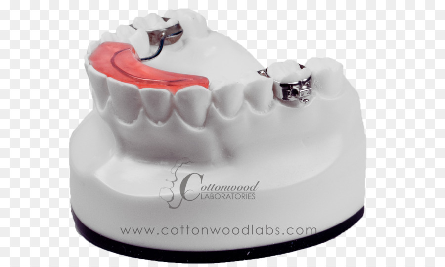 Beißen Zahn Verhalten Zahnmedizin - digitale Geräte