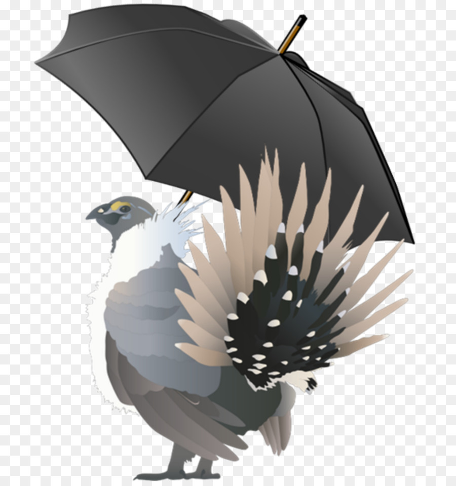 Umbrella Cartoon png download - 2964*3147 - Free Transparent Bird png  Download. - CleanPNG / KissPNG