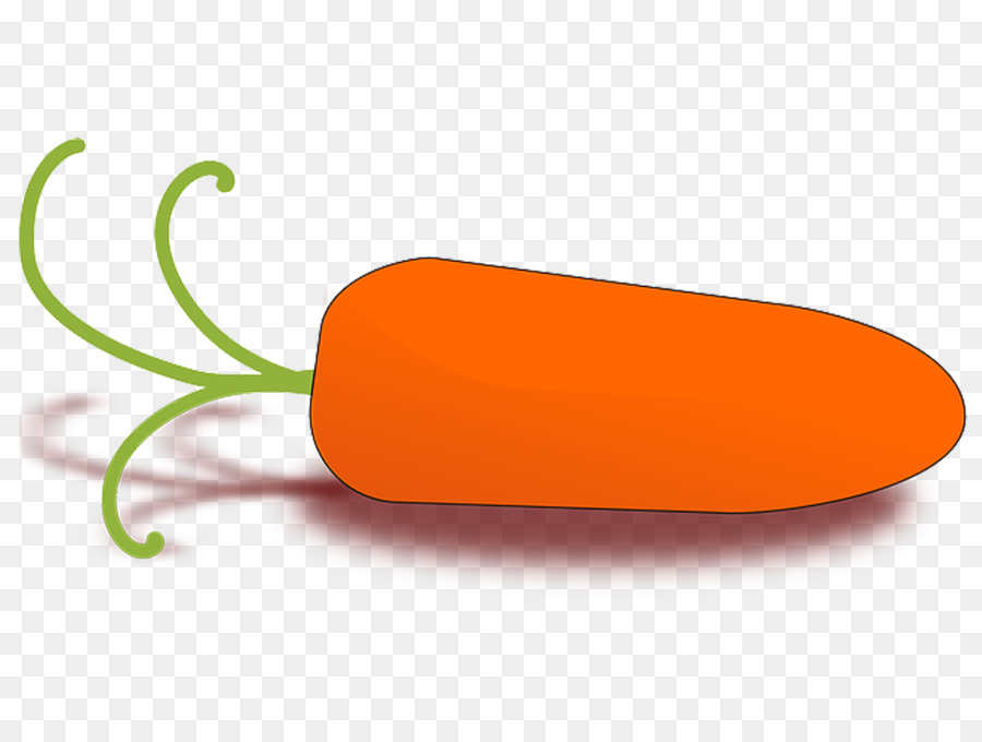 Baby Karotten Gemüse clipart - knackig Vektor