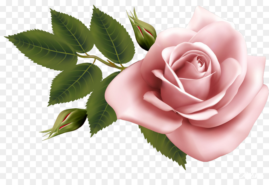 Hoa Màu nước sơn Clip nghệ thuật - hoa hồng đẹp lời mời