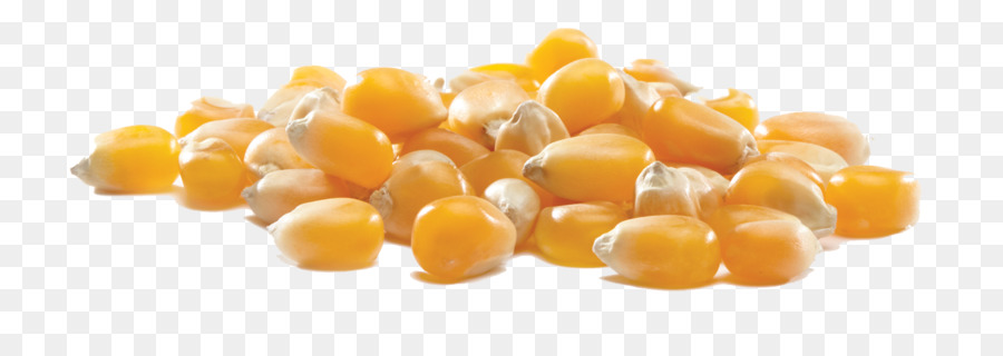Popcorn di Mais sulla pannocchia di Mais kernel di mais Dolce - Popcorn