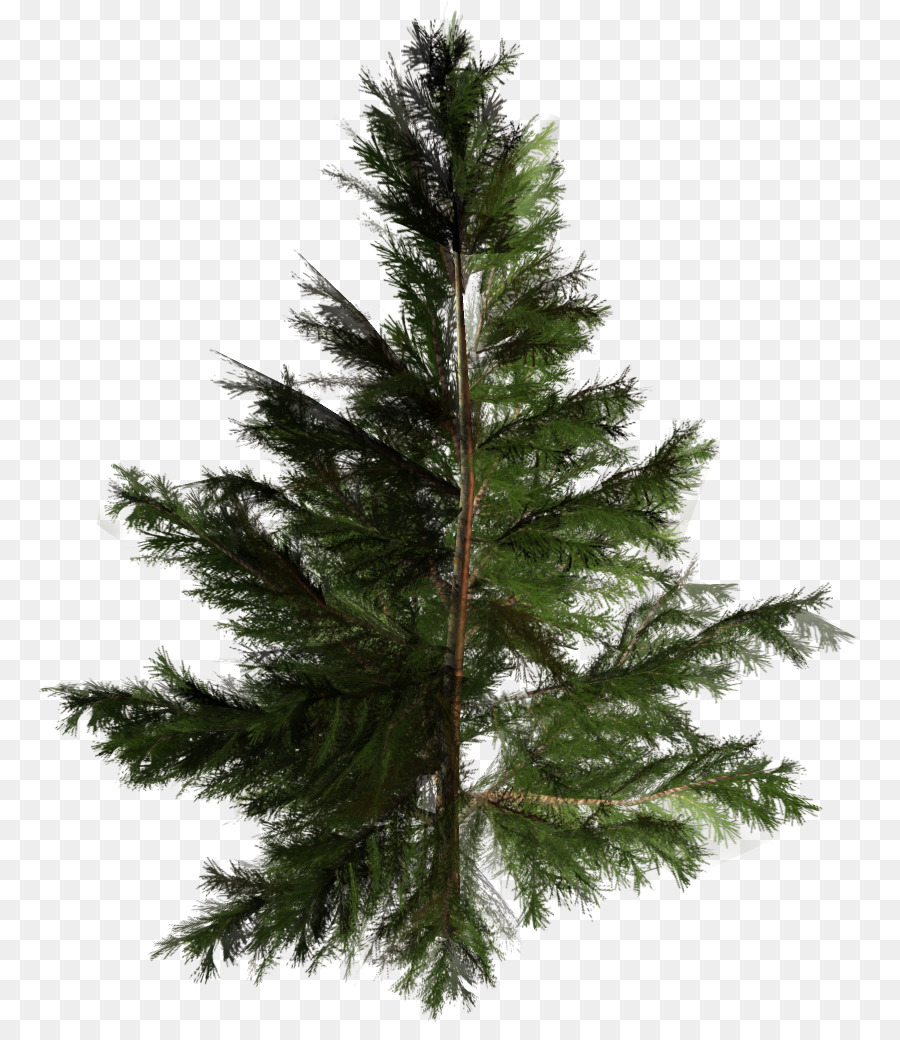 Künstlicher Weihnachtsbaum Pine Pinales - Baum