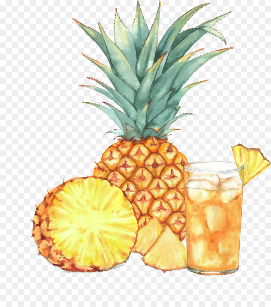 Saft-Cocktail Ananas-Zeichnung - Aquarell Ananas