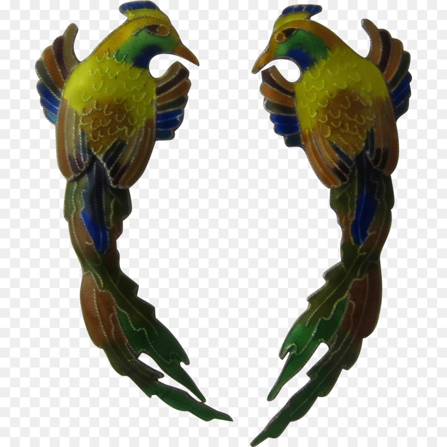 Uccello Pappagallo Parrocchetto Finch Ara - pappagallo