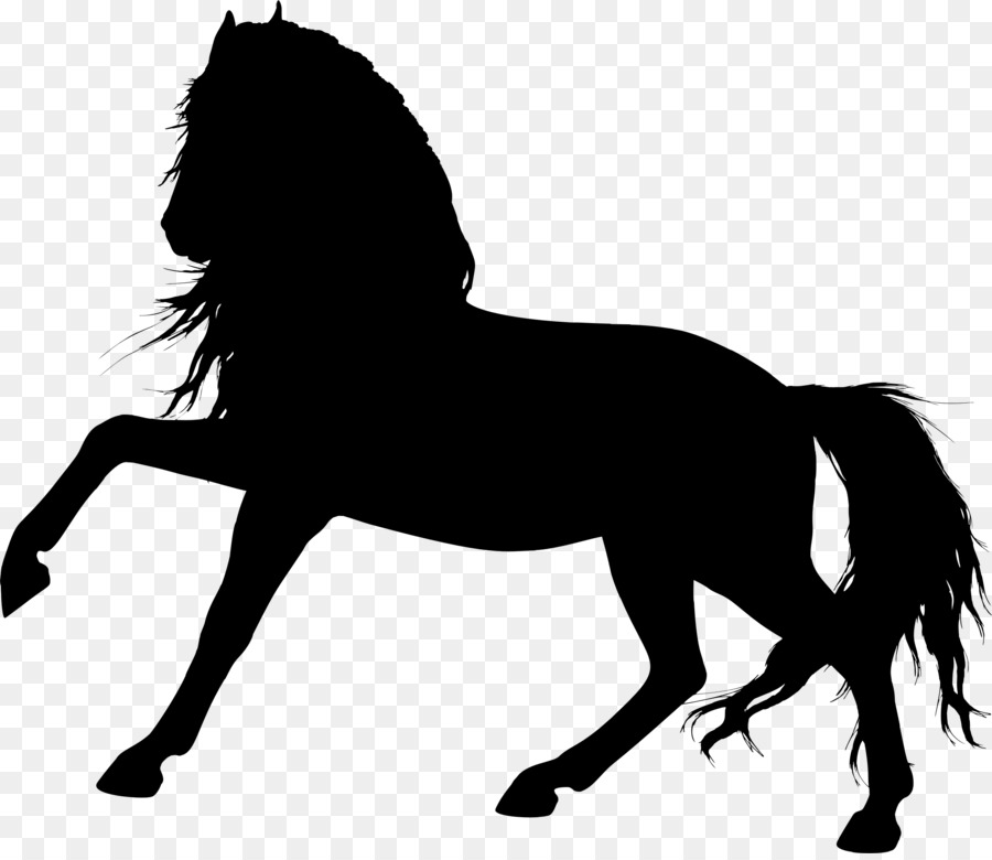 Das Arabische Pferd-Pony-Hengst-Fohlen-Colt - Pferd silhouette