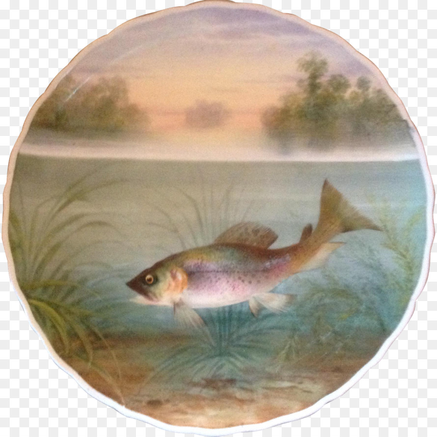 Ecosistema di biologia Marina Organismo Fauna Pesce - Dipinto a mano di pesce