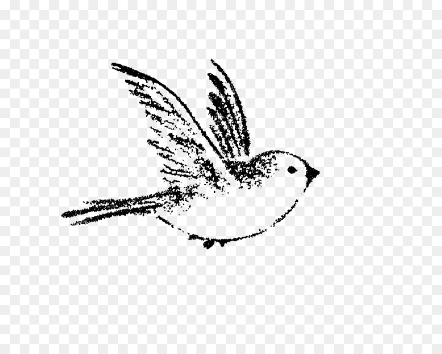 Sparrow Vẽ Chim Nhạn, Hình Xăm Tranh - Chim Sẻ Png Tải Về - Miễn Phí Trong  Suốt Đơn Sắc Nhiếp Ảnh Png Tải Về.