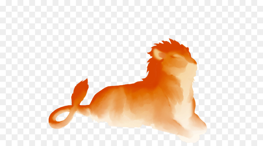 Hund Canidae Schnauze Fleischfressende Tier - Sonnenuntergang lion