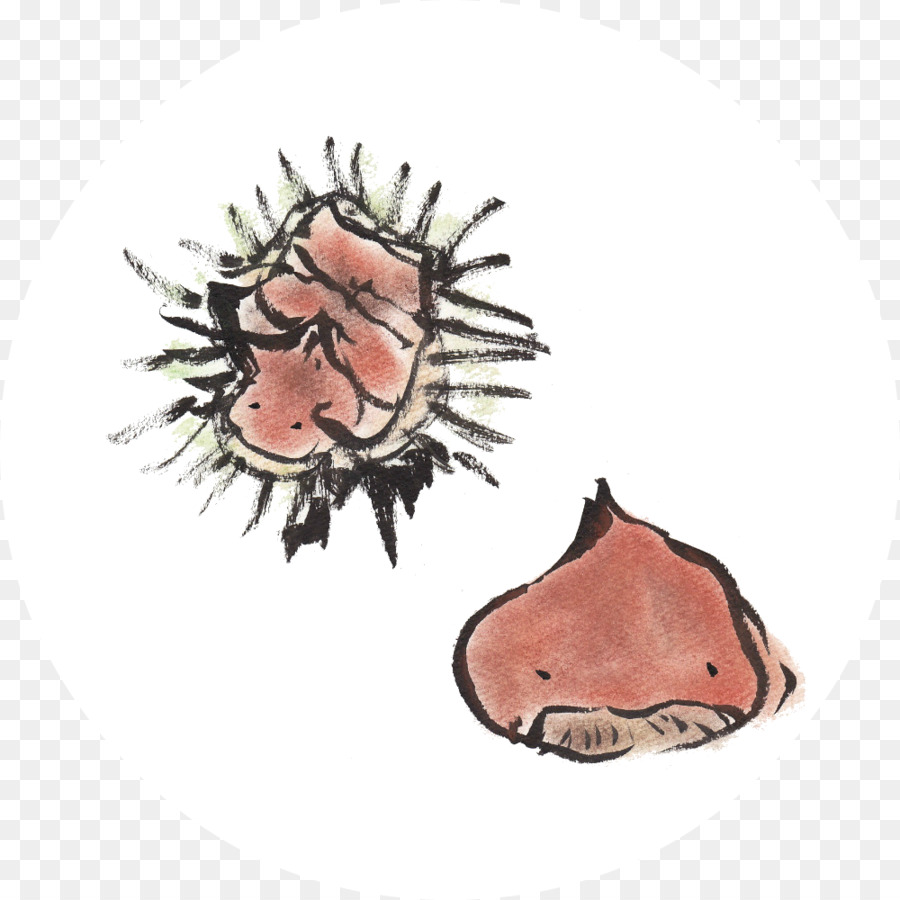 Amanatsu Trái Cây Hạt Dẻ Bưởi - hạt dẻ