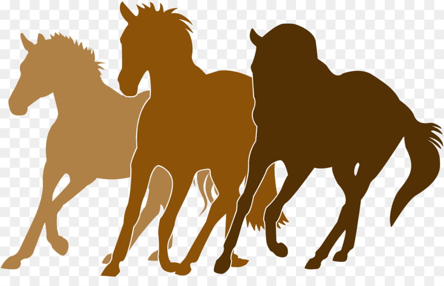 Pferd Pferdesport Silhouette - das Pferd stellt png