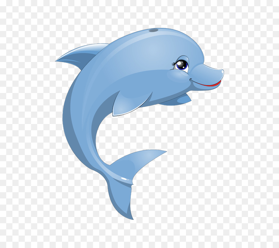 Dolphin Cartoon png download - 800*800 - Free Transparent Dolphin png  Download. - CleanPNG / KissPNG
