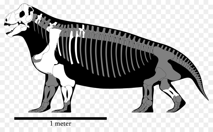 Tyrannosaurus Spinosaurus Megalosaurus Ceratosaurus Ulemosaurus - Rekonstruktion