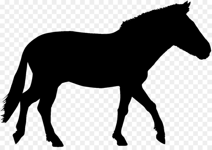 Mustang Stallone Puledro Di Pony Mulo - wild vettoriale