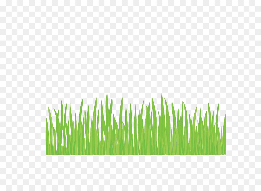 Green Grass Background png download - 660*660 - Free Transparent Drawing  png Download. - CleanPNG / KissPNG
