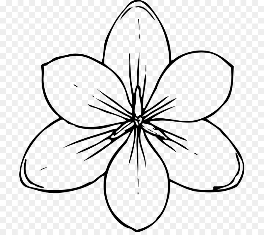 Vẽ Đường nghệ thuật Hoa Clip nghệ thuật - hoa
