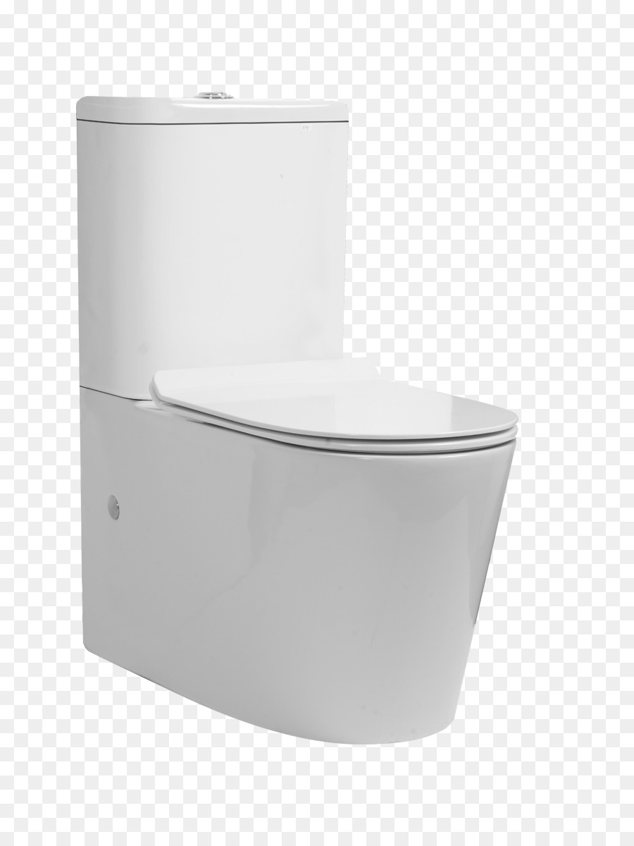 WC & Bidet-Sitze-Bad-Trap-Dual-flush Toilette - übersehen