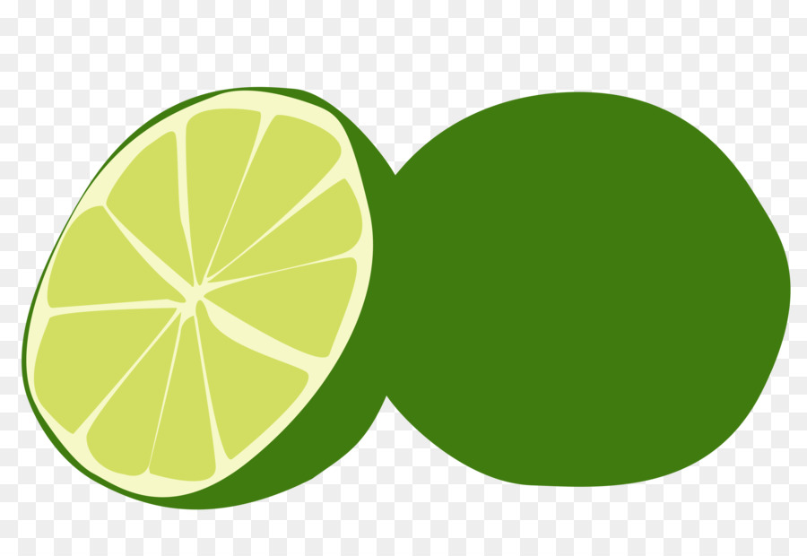 Key lime Limone, lime persiano - calce fetta di vettore