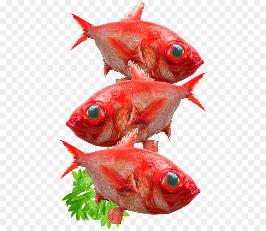 Sao tôm Hùm Hải sản Mart Cá sản phẩm phía Bắc red snapper - Cá biển sâu