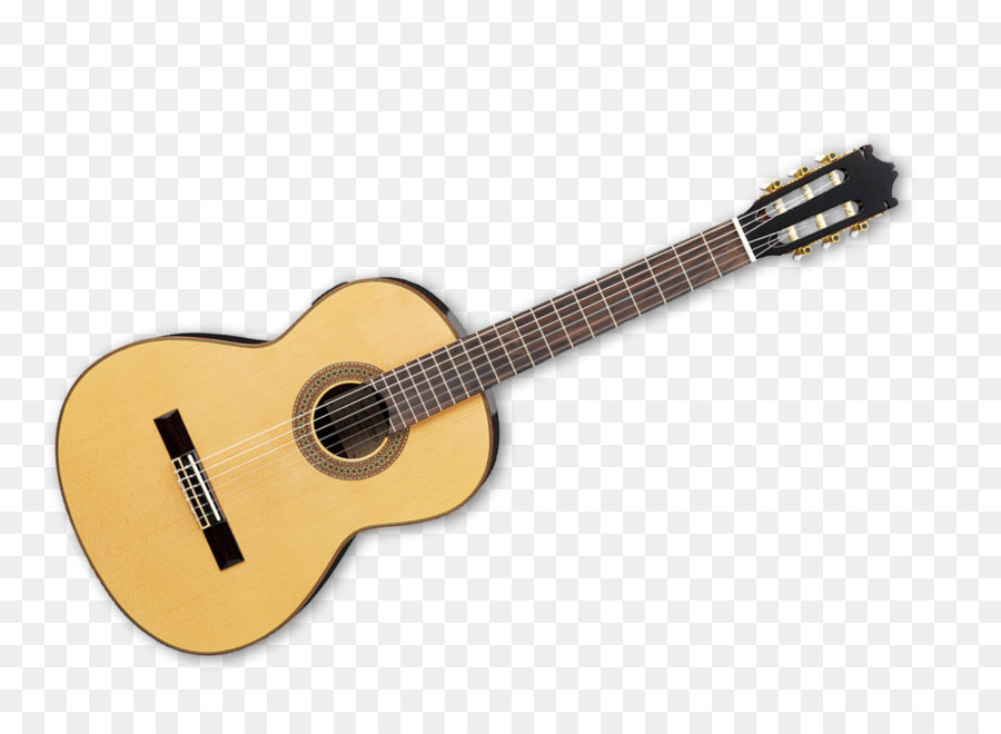 Hawaii guitar dụng Cụ âm Nhạc Cụ Dây - hạ cánh
