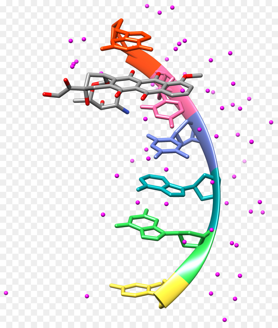 DNA-Molekül-Docking-Organische Chemie - dynamisches Wasser