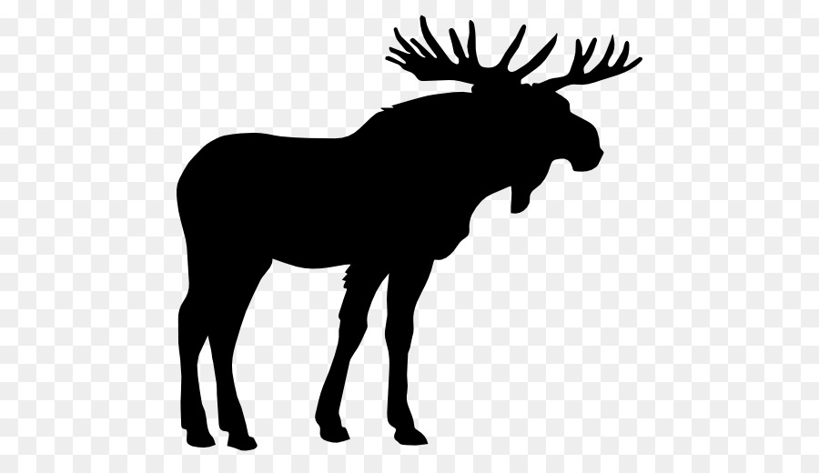 Moose Nai sừng Hươu Clip nghệ thuật - nai tơ