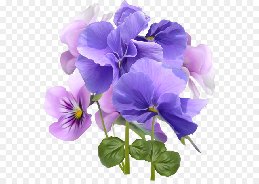 Blume Violett-Desktop Wallpaper Lila - blau und purple morning glory