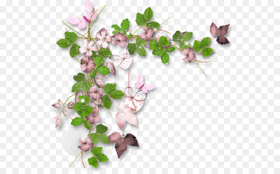 Cornici Fiore Clip art - bellissimo fiore cluster