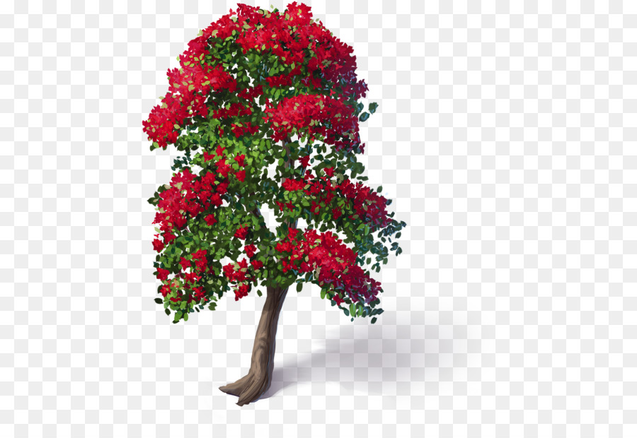 Schnittblumen, Rosen Pflanze, Blumen-design - Bougainvillea