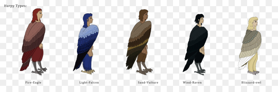 Harpy Eagle Zeichnung Kunst - Zeichnung Haar Geier