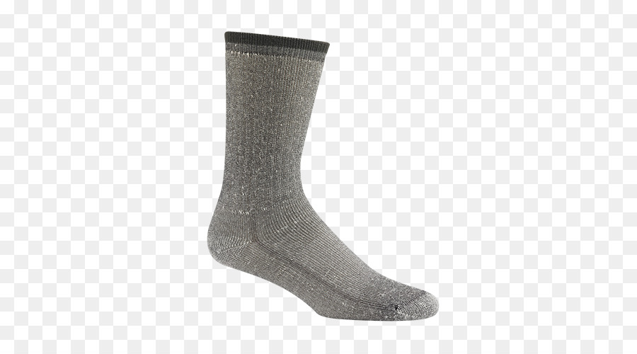 Sock Shoe