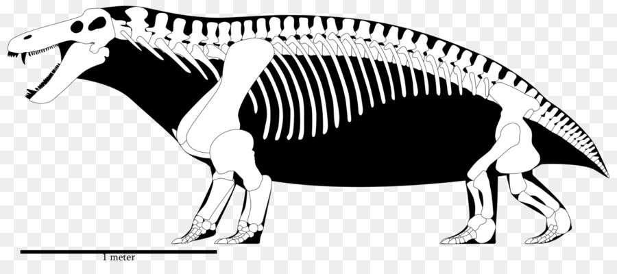 Scheletro Di Tyrannosaurus Jonkeria Yutyrannus Moschops - la ricostruzione