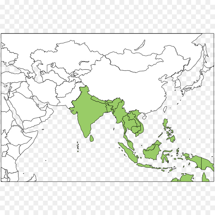 Chikungunya virus infezione di Malattie Endemiche, la Filariosi - sud est asiatico