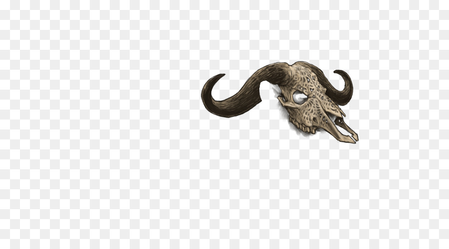 elefante indiano - personalità cranio